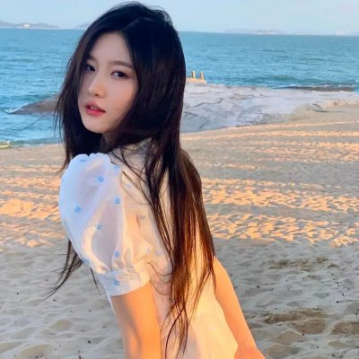 狐狸与我